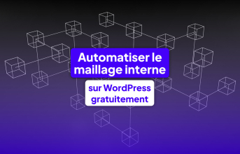 automatiser maillage interne wordpress