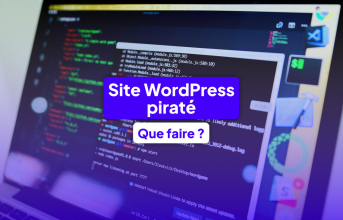 site wordpress pirat&eacute;